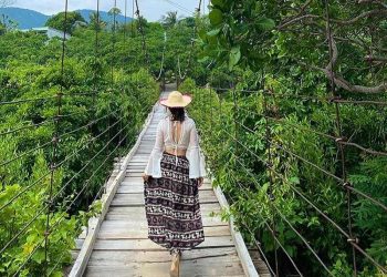 Suối Lồ Ô Bình Dương với cây xanh mang đến bầu không khí trong lành