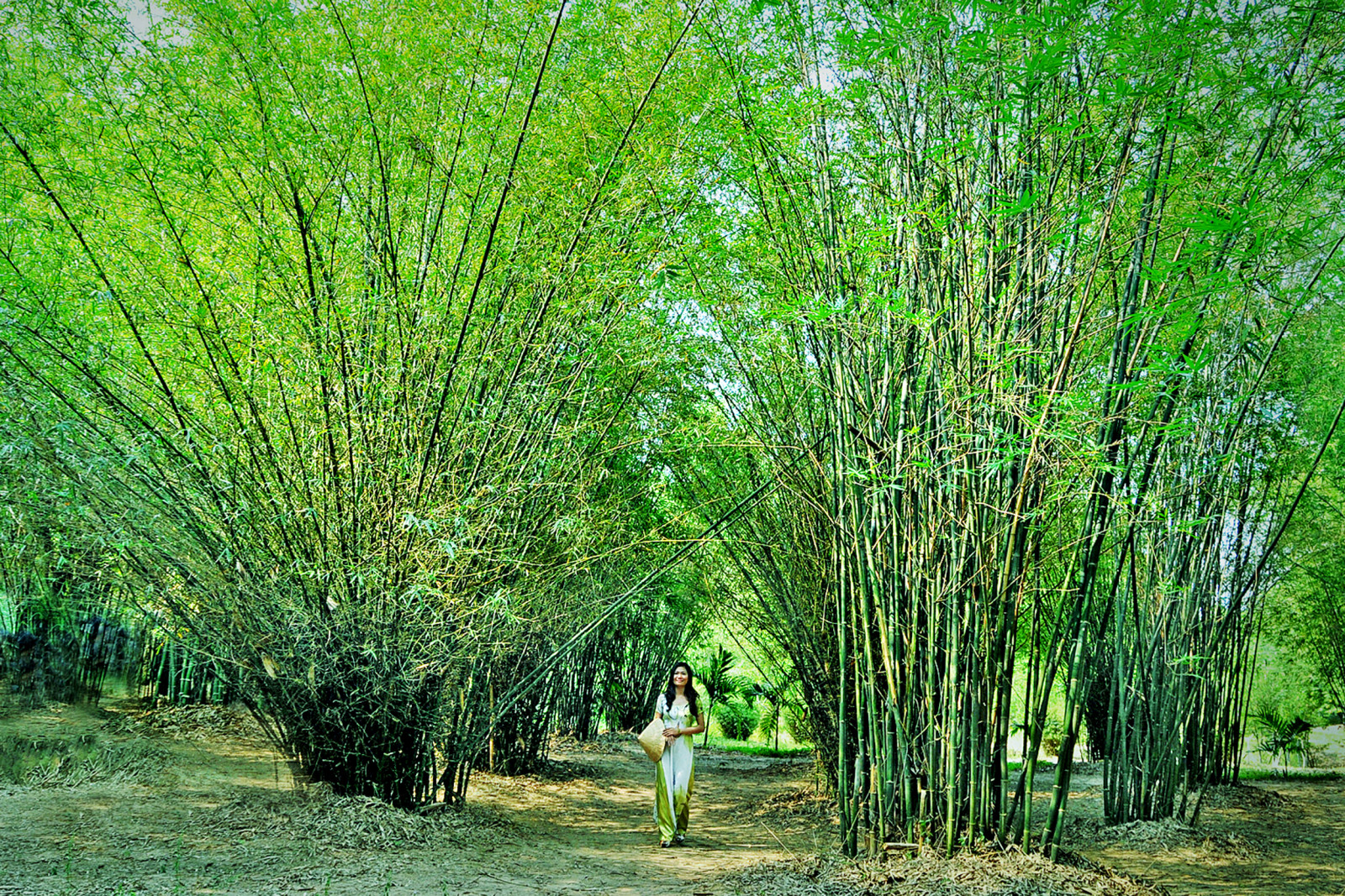 Làng Tre Phú An - Thiên Đường Nghệ Thuật Và Văn Hóa