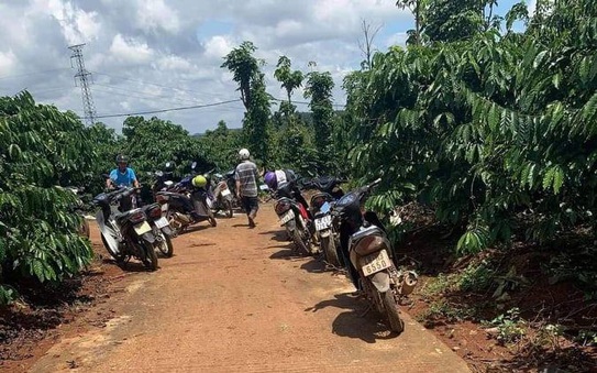 Vụ Chồng Sát Hại Vợ Tại Phường Bình Dương: Gia Đình Nạn Nhân Được Hỗ Trợ Khẩn Cấp 2 Vụ Chồng Sát Hại Vợ Tại Phường Bình Dương: Gia Đình Nạn Nhân Được Hỗ Trợ Khẩn Cấp