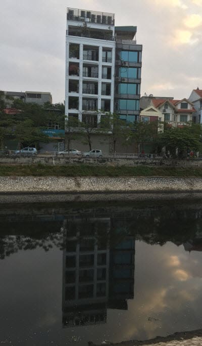 Bí ẩn con đà điểu xuất hiện tại Khu Công nghiệp Mỹ Phước 2