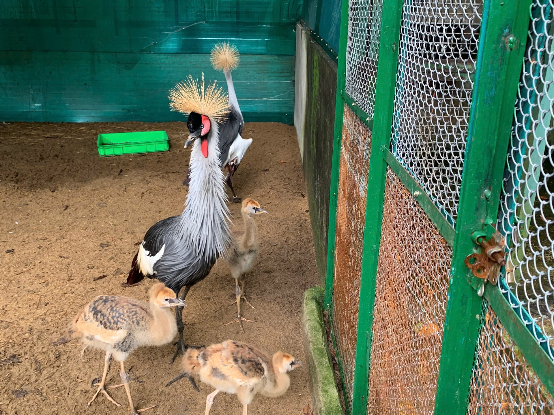 Bắt Quả Tang Cơ Sở Nuôi Nhốt Động Vật Hoang Dã Tại TPHCM