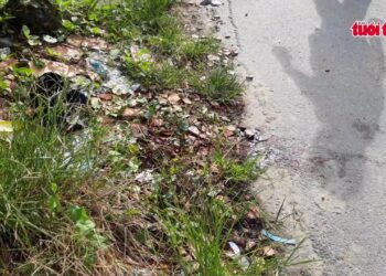 Hai thanh niên bị bắt giữ vì trộm cắp và gây thương tích tại Bình Dương