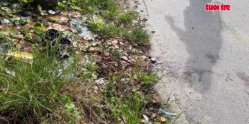 Hai thanh niên bị bắt giữ vì trộm cắp và gây thương tích tại Bình Dương