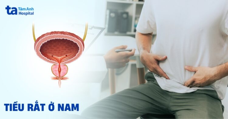 Khởi tố vụ án mua bán người và cưỡng đoạt tài sản tại Ninh Bình