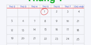 Kỳ Nghỉ Tết Dương Lịch 2026: Ghi Nhận 3,5 Triệu Lượt Khách Du Lịch