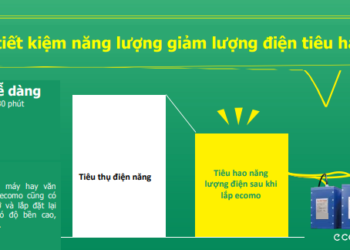 Thành phố Hồ Chí Minh Dẫn Đầu Về Thu Hút Vốn FDI, Tăng Trưởng Mạnh Mẽ Sau Hợp Nhất