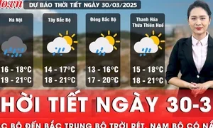 Mưa Trái Mùa Đổ Xuống TP.HCM Gây Ngạc Nhiên Vào Sáng Sớm