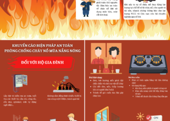 Sở Nông nghiệp và Môi trường TP.HCM Đưa Ra Giải Pháp Ngăn Chặn Lục Bình và Rác Thải Tại Bãi Biển Vũng Tàu