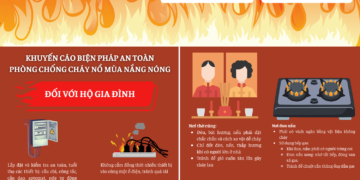 Sở Nông nghiệp và Môi trường TP.HCM Đưa Ra Giải Pháp Ngăn Chặn Lục Bình và Rác Thải Tại Bãi Biển Vũng Tàu